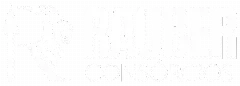 Logo Rauber Site